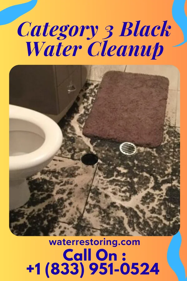 Category 3 Black Water Cleanup in Marshallton, PA