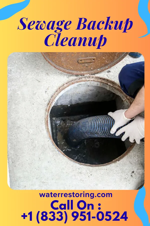 Sewage Backup Cleanup in Marshallton, PA