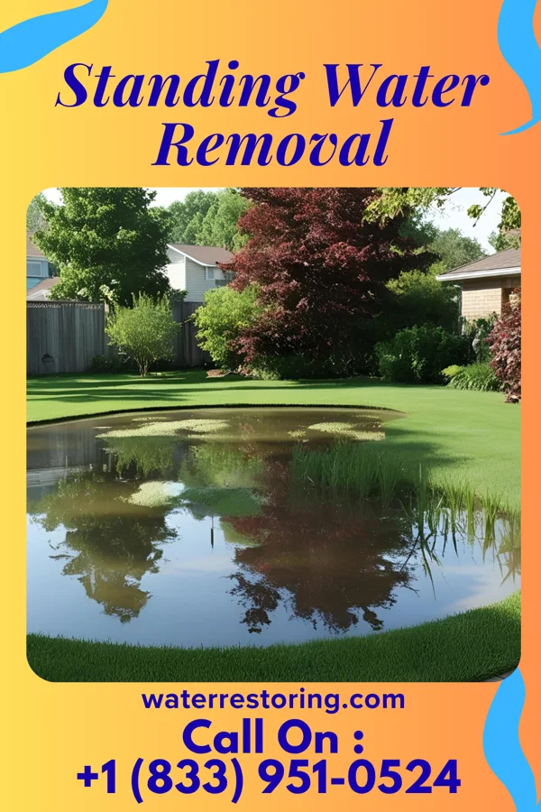 Standing Water Removal in Marshallton, PA